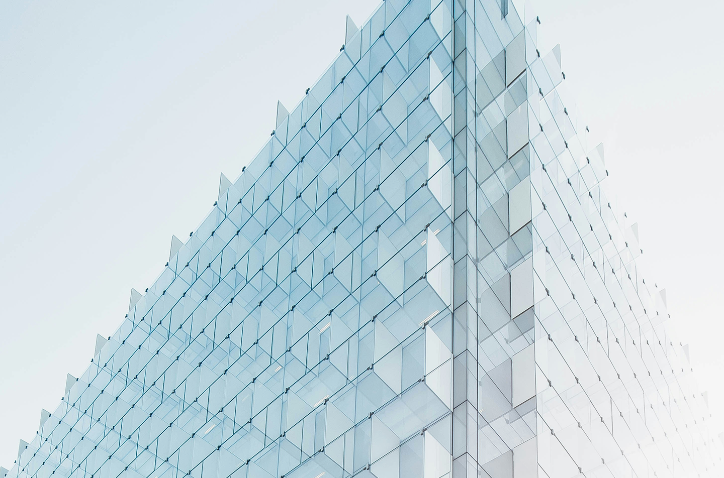 About Nobicon Holdings